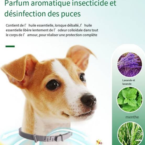 IntiMeg - Collier vermifuge pour chien IntiMeg - Image 3
