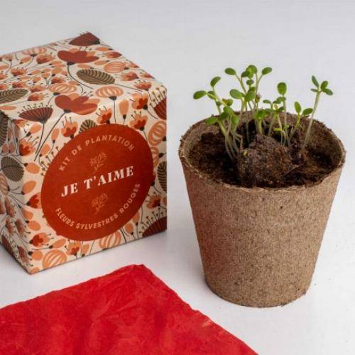 Kit de plantation Dites-le avec des Fleurs - Orange - Image 4