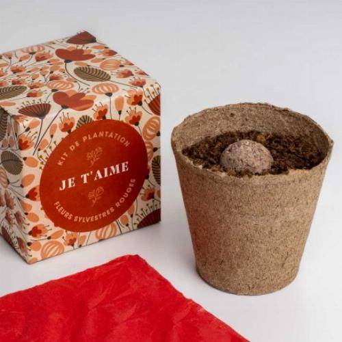 Kit de plantation Dites-le avec des Fleurs - Orange - Image 5