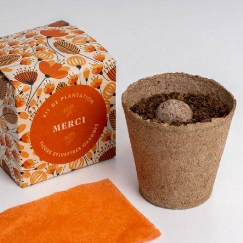 Kit de plantation Dites-le avec des Fleurs - Orange - Image 2