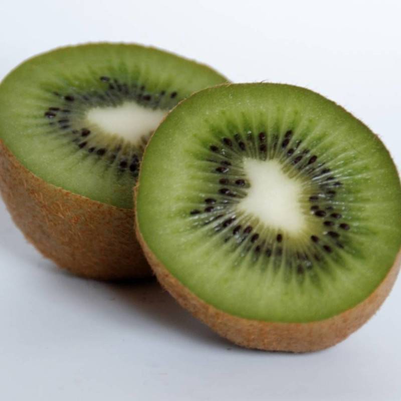 Kiwi chinensis Solissimo® 'Renact' (Autofertile) à fleurs Jaune - feuillage Caduc - Godet - 5/10 cm-  hauteur à maturité De 3,00 m à 5,00 m - Image 2