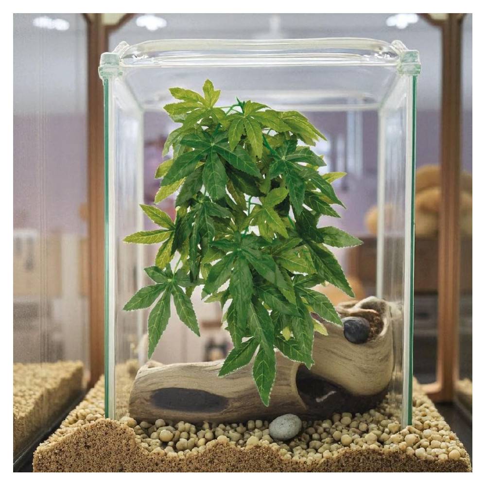 Trixie - Plante tissu à suspendre 30 cm, avec ventouse, Abutilon, pour reptile ou amphibien - Image 2