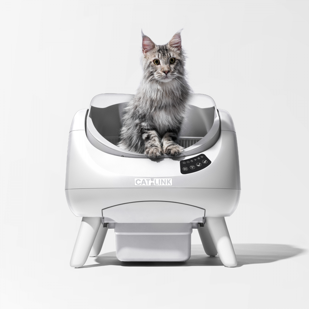 Catlink Open-X Litière autonettoyante pour chats - Blanc CATLINK