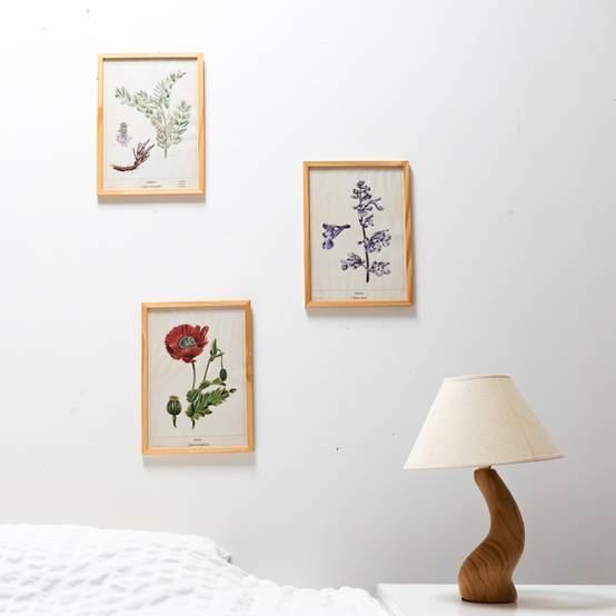 3 Affiches Plantes médicinales A4 - Image 2