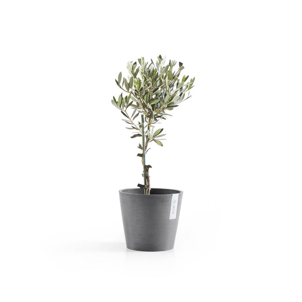 Ecopots - Pot Rond Amsterdam 20 Gris - Ø 20 x H. 17,5 cm - 4 L ECOPOTS - Image 3