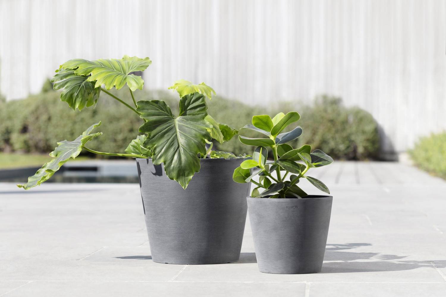 Ecopots - Pot Rond Amsterdam 20 Gris - Ø 20 x H. 17,5 cm - 4 L ECOPOTS - Image 5