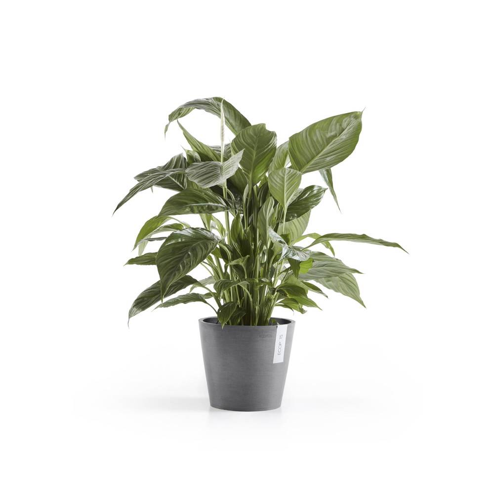 Ecopots - Pot Rond Amsterdam 20 Gris - Ø 20 x H. 17,5 cm - 4 L ECOPOTS - Image 1