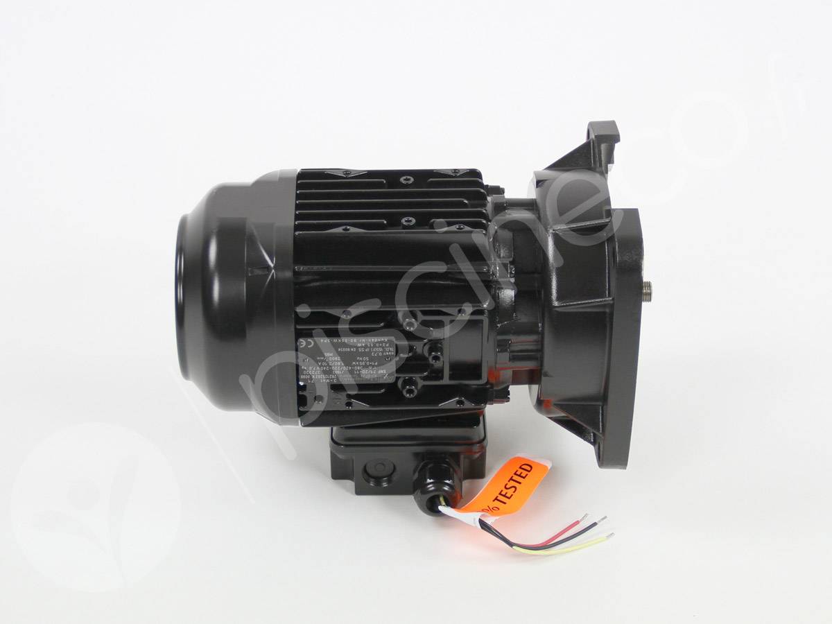 Moteur pour pompes La Sta-Rite 0,75 CV Tri - Pentair - Image 5