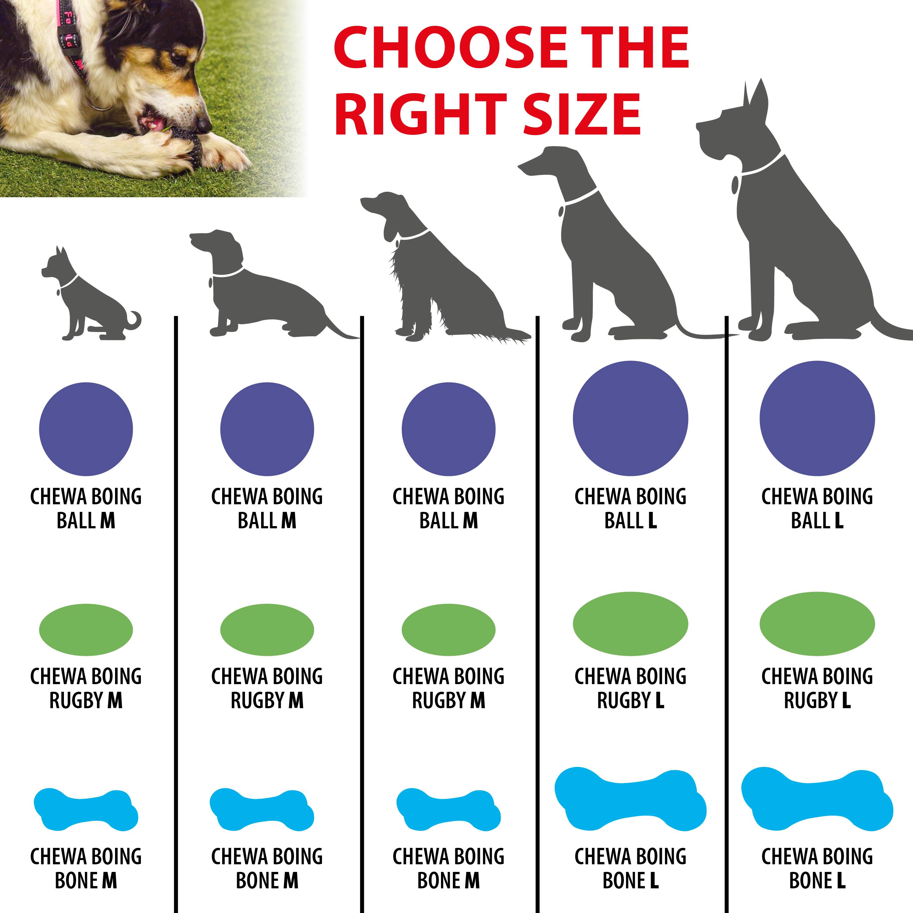 Ferplast - Ferplast Jouet Chien, en Matériau Durable, Non Toxique, Résistante aux Morsures, pour l'Hygiene Dentaire, Rebondissant et Flottant, CHEWA BOING RUGBY - Image 2