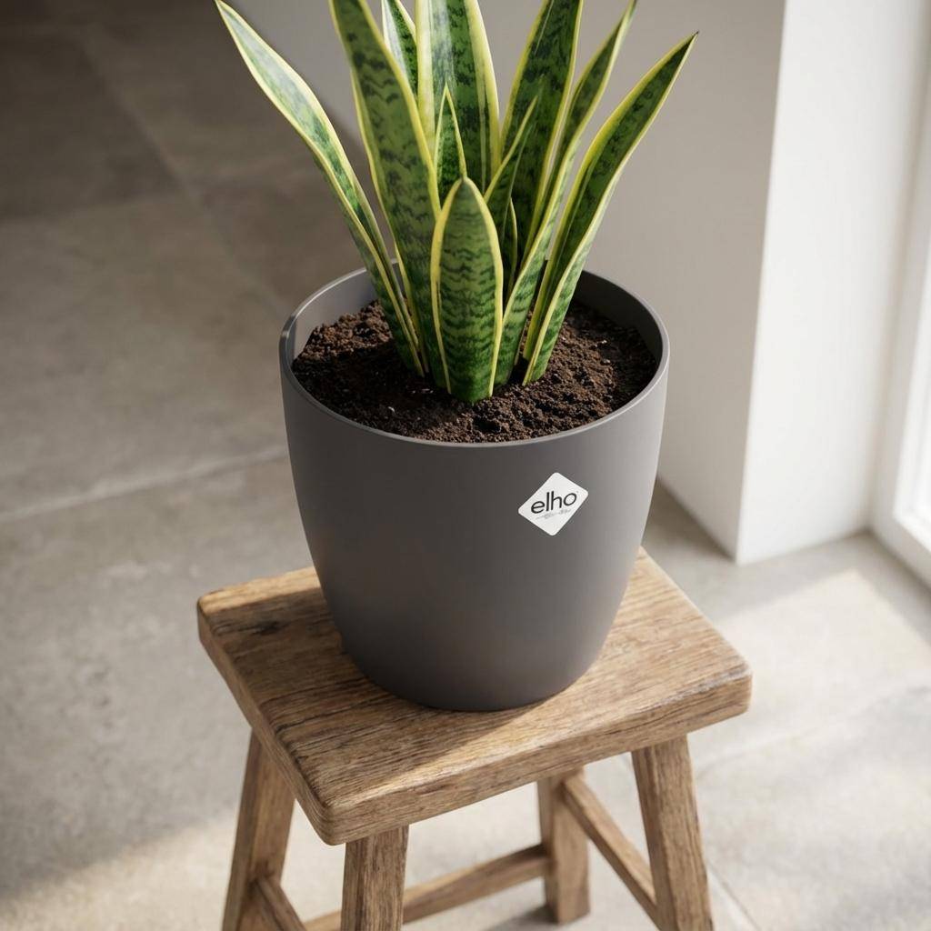 Pot de fleurs elho Brussels rond anthracite - D.25cm - Image 6