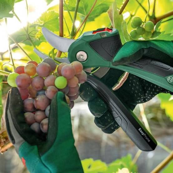 Bosch - Sécateur EasyPrune sans fil - Bosch - Technologie Power Assist - Vert - Image 5