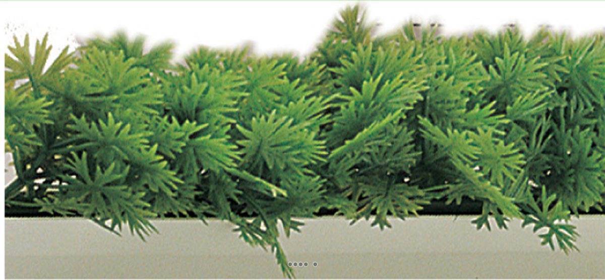 Artificielles - Séparateur barrette Feuille plastique Persil H7,50cm L75cm socle blanc - dimhaut: H 7 cm - couleur: Vert