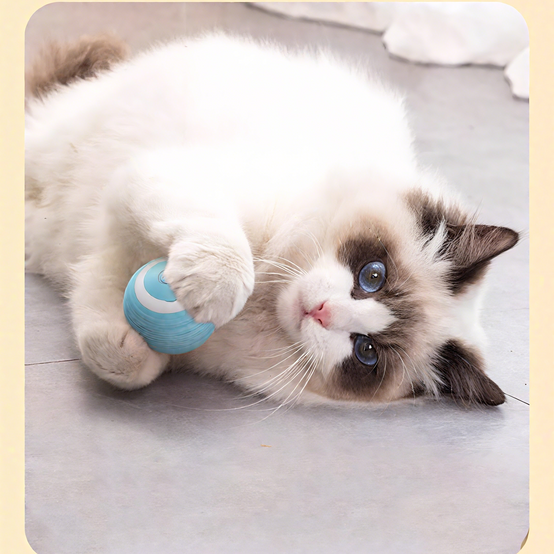 Balle Intelligente Électrique pour Chat : Divertissement et Exercice DtopbuyAge - Image 5