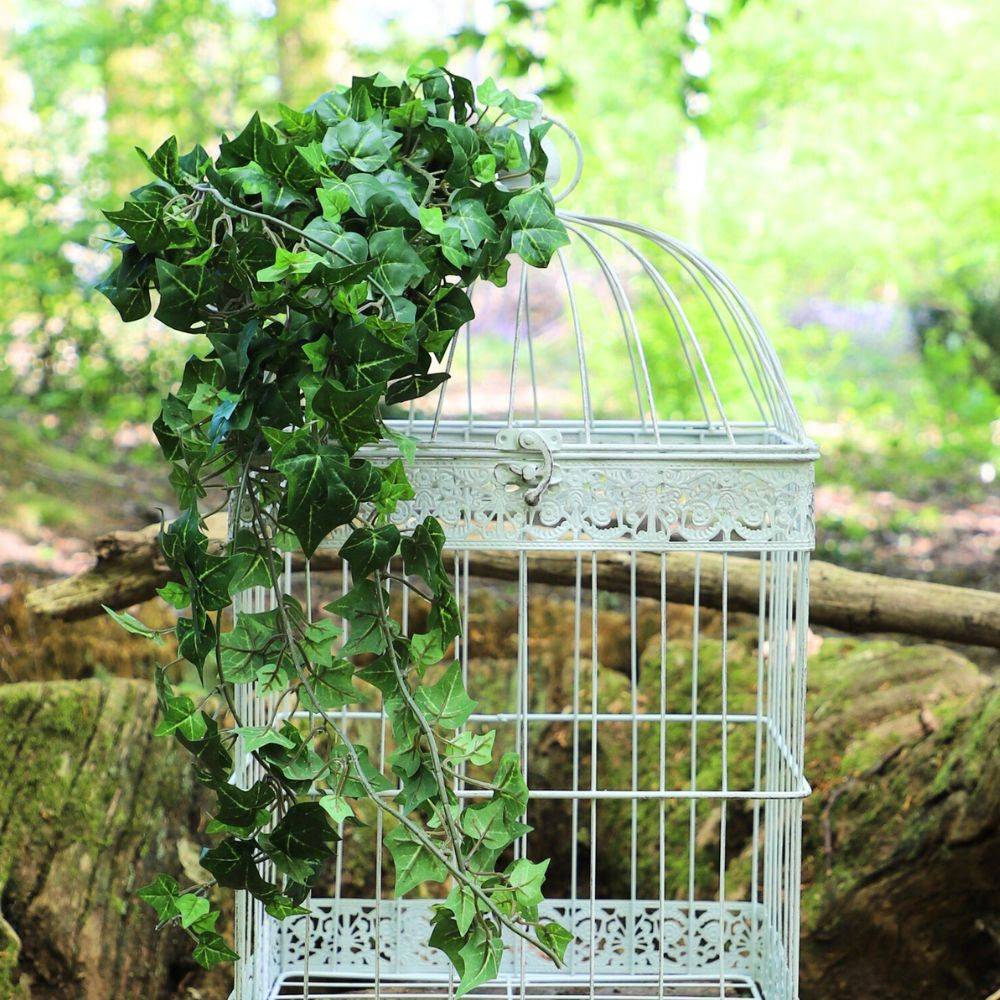 Cage à oiseaux décorative ancienne métal blanc 62x34x34cm Chemin de campagne - Image 4
