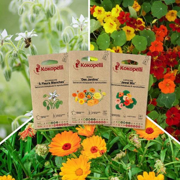 Fleurs comestibles - 3 sachets de graines bio à semer - Image 1