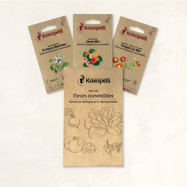 Fleurs comestibles - 3 sachets de graines bio à semer - Image 2
