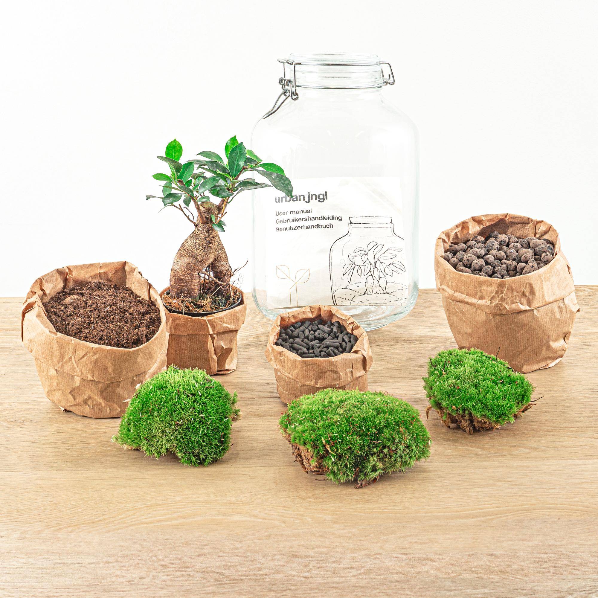 Terrarium à composer bouteille en verre recyclé - Ø18-H28cm - avec râteau, pelle et pince - Terrarium DIY - Image 4