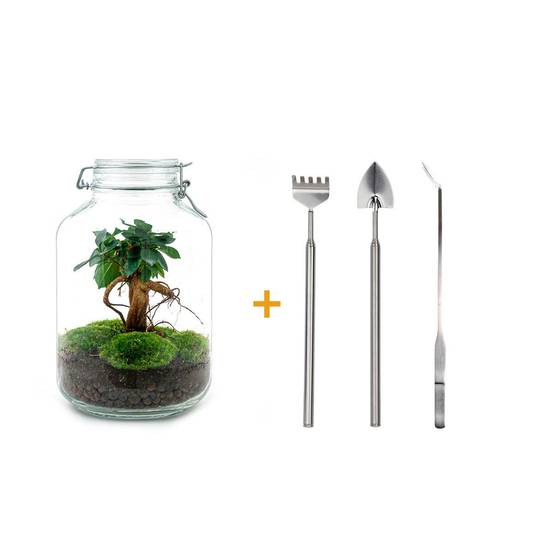 Terrarium à composer bouteille en verre recyclé - Ø18-H28cm - avec râteau, pelle et pince - Terrarium DIY - Image 1