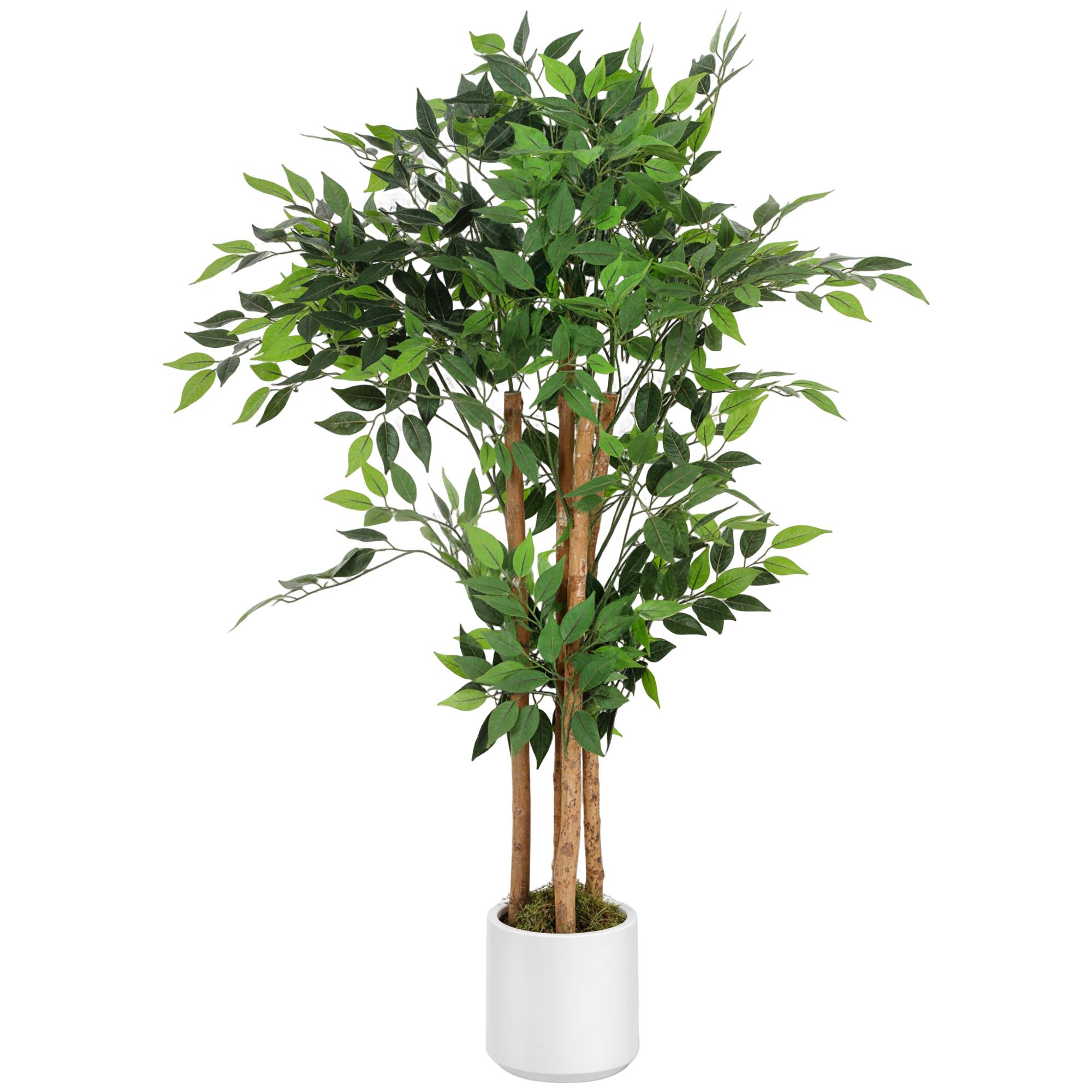 Sans Marque - Arbre artificiel de banian, plante artificielle avec tronc en bois massif, pot, pour salon, chambre, bureau, 55 x 55 x 120 cm, vert - Image 1