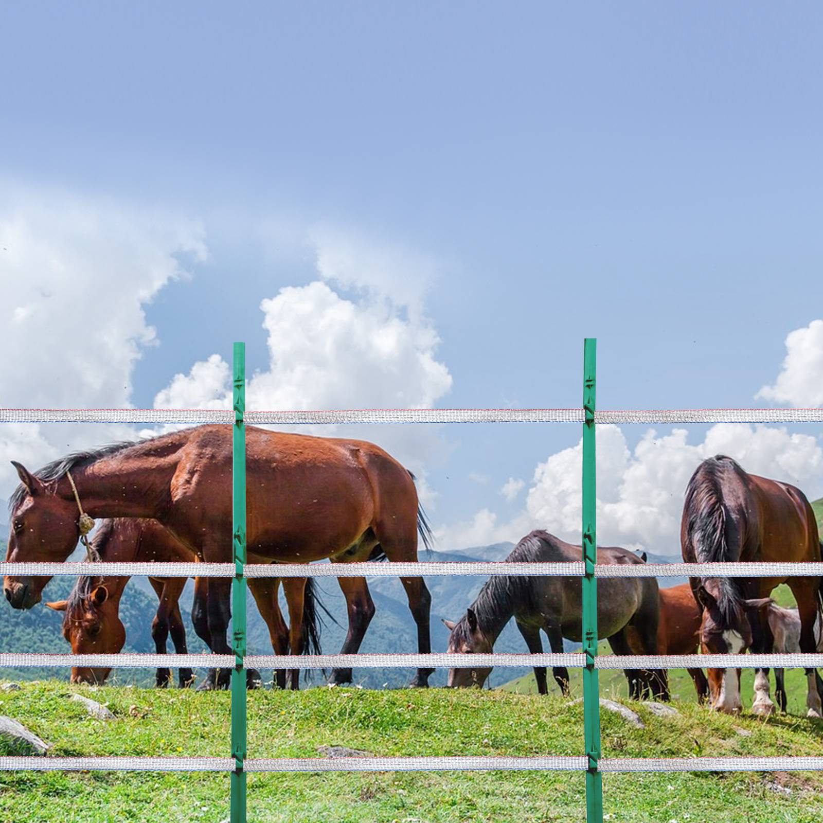 VEVOR Ruban clôture électrique 500 m, PEHD tressé, 6 brins inox, largeur 19 mm. Chevaux, bovins. - Image 8