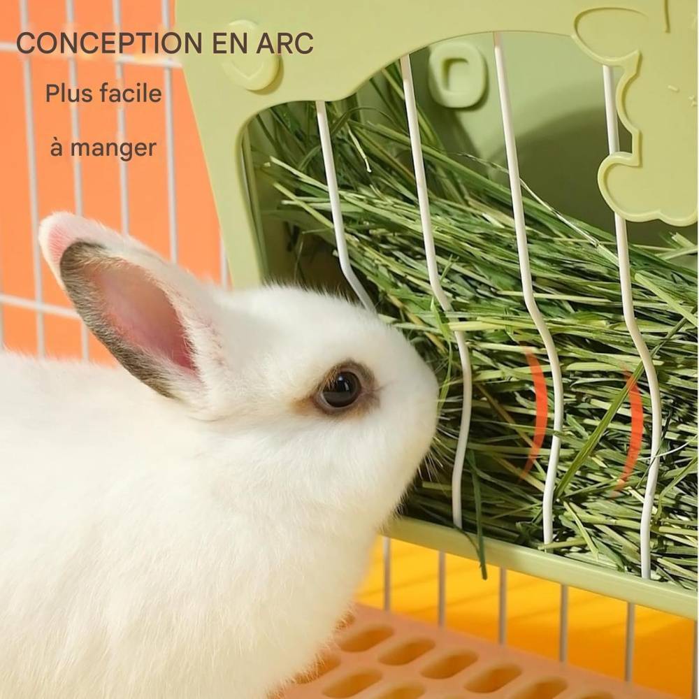 DtopbuyAge - Mangeoire pour lapin, lapin nain et cochon d'Inde DtopbuyAge - Image 2