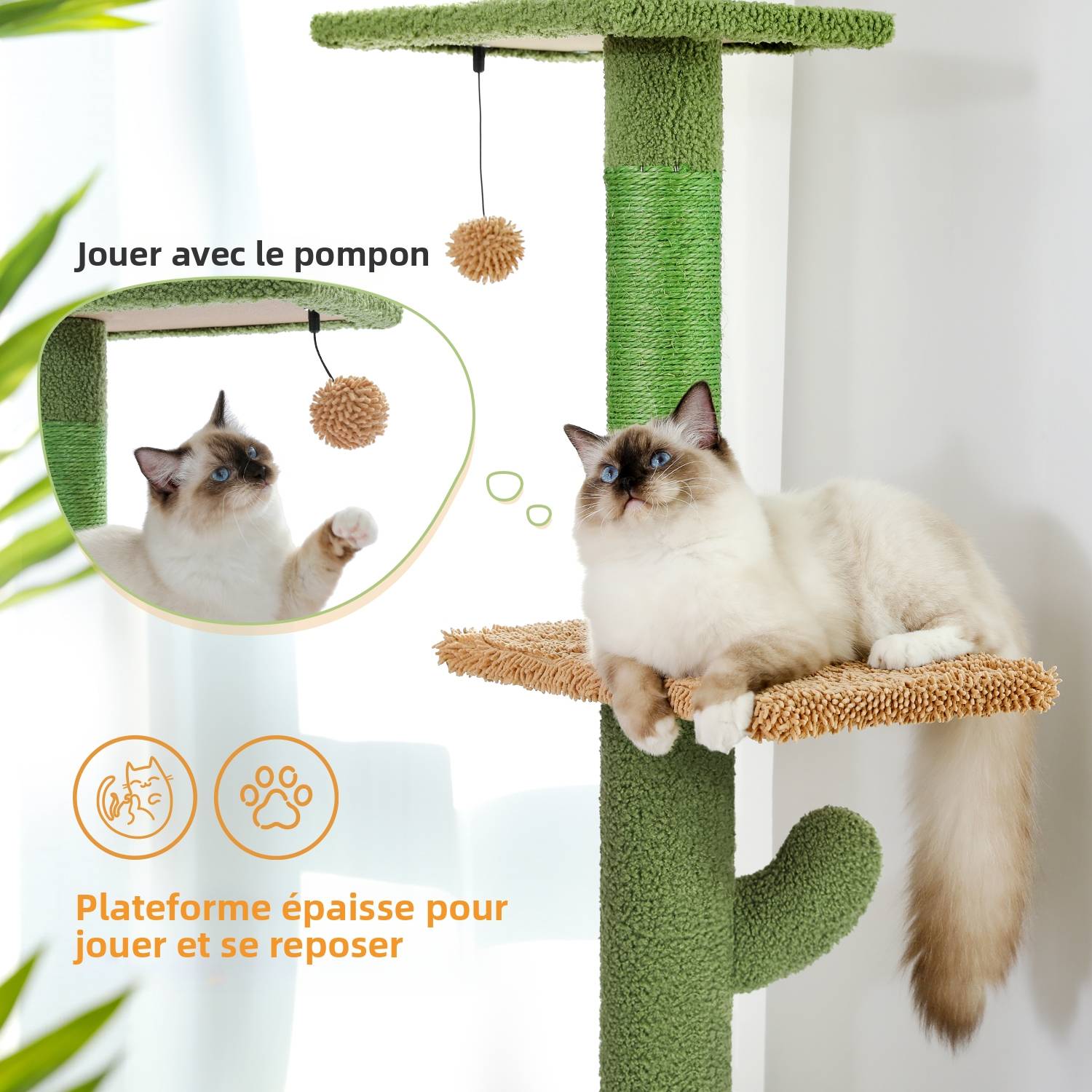 Arbre à Chat du Sol au Plafond avec 5 Niveaux Cactus PAWZ Road - Image 5