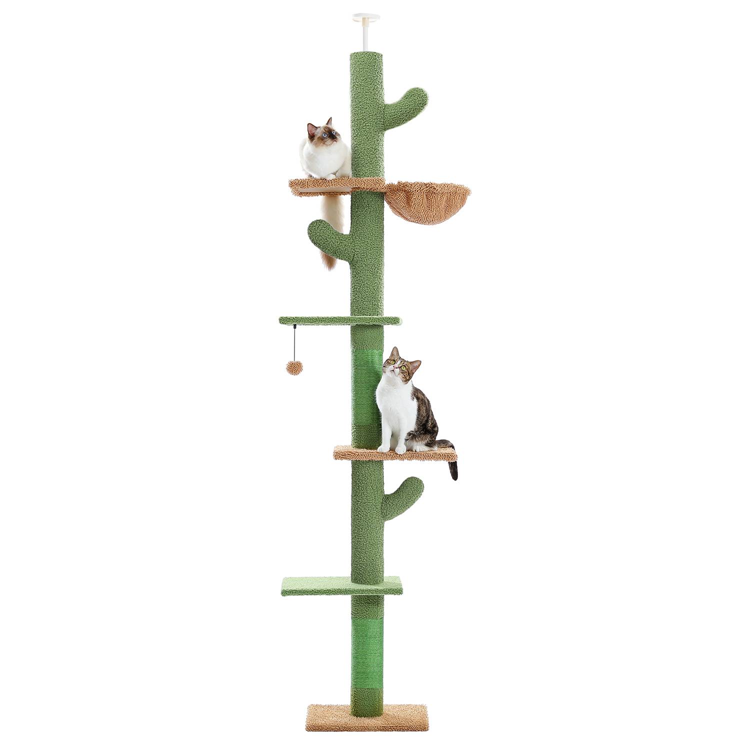 Arbre à Chat du Sol au Plafond avec 5 Niveaux Cactus PAWZ Road - Image 1
