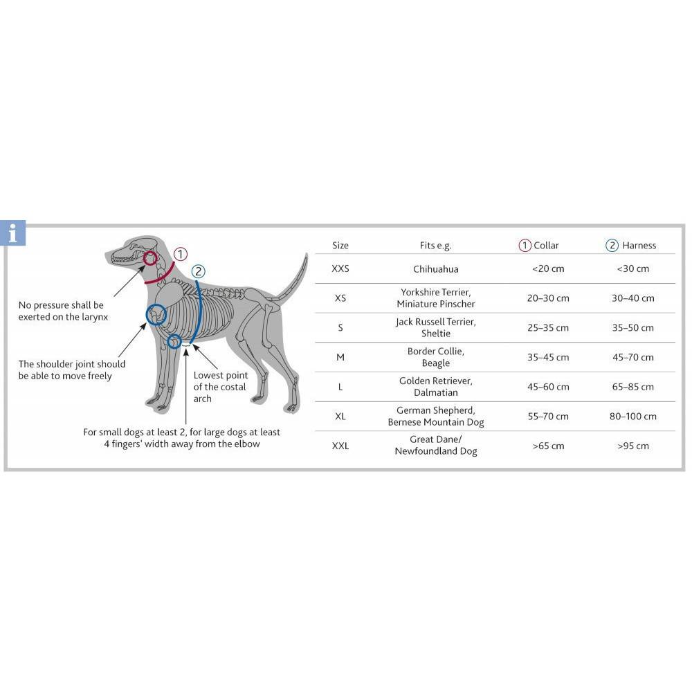 Trixie - Trixie - harnais touring. taille XS-S. couleur violet. pour chien. - Image 2