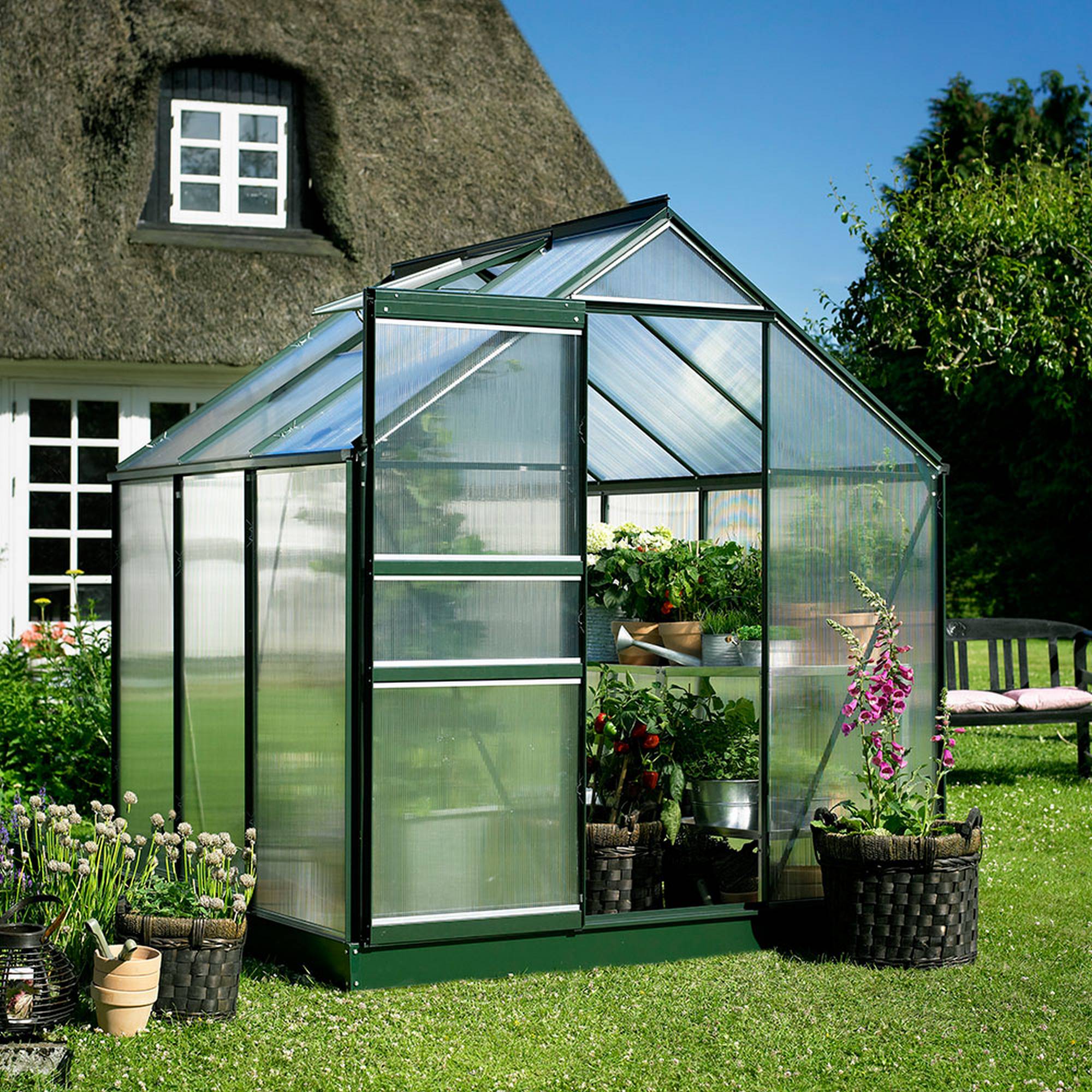 Halls - Serre en polycarbonate 3,8 m² - Popular 66, vert - Halls - Image 2