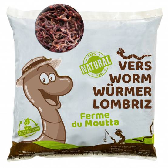 250gr de Vers de compost / Lombric - Image 1