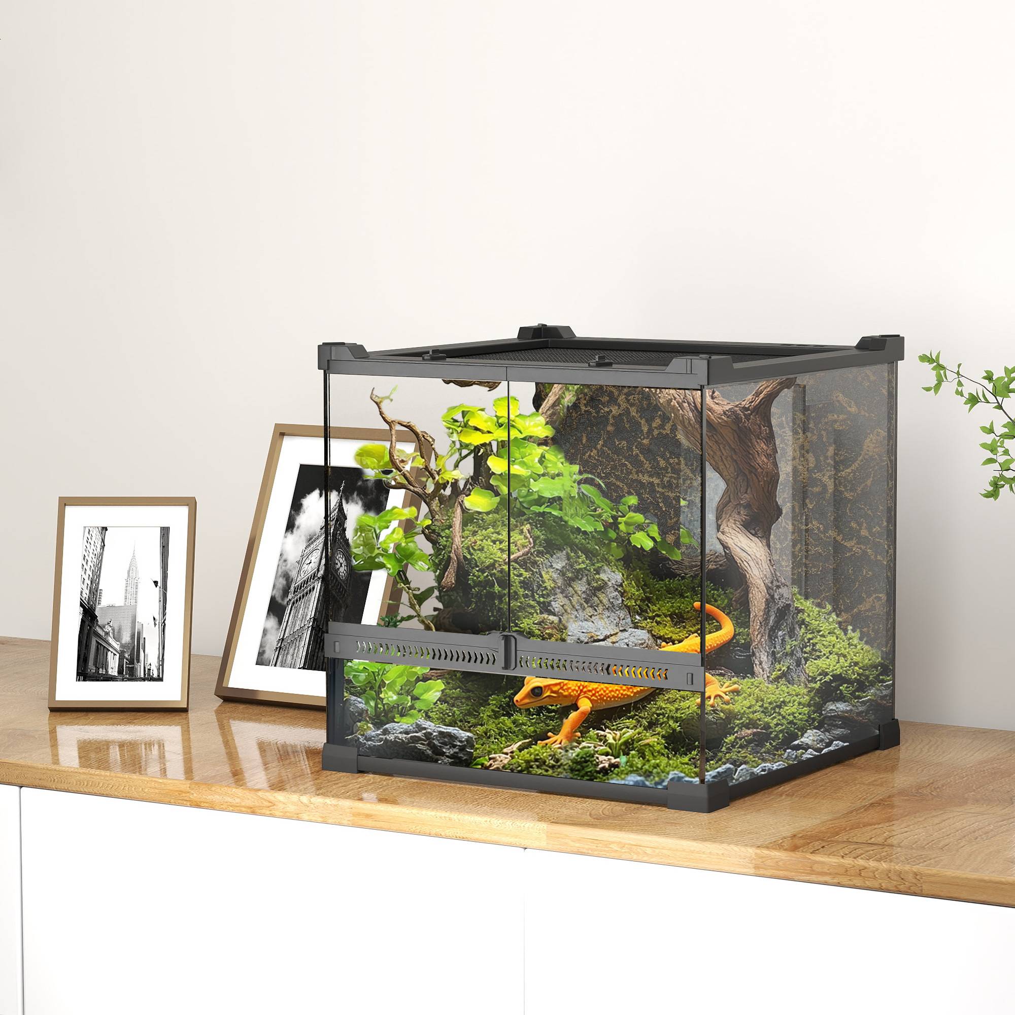 Terrarium en verre pour reptiles, fond surélevé et imperméable, fermeture à bouton - Image 3