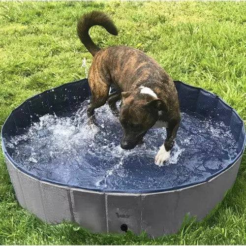 Entrepotbrico - Piscine pliante/parc pour chien 100x30 Purlov 20929 - Image 3