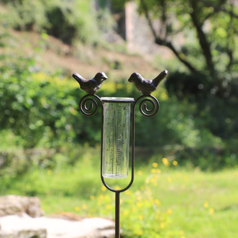 Tuteur plante grimpante pluviomètre à piquer fonte verre marron 100 cm Chemin de campagne - Image 2