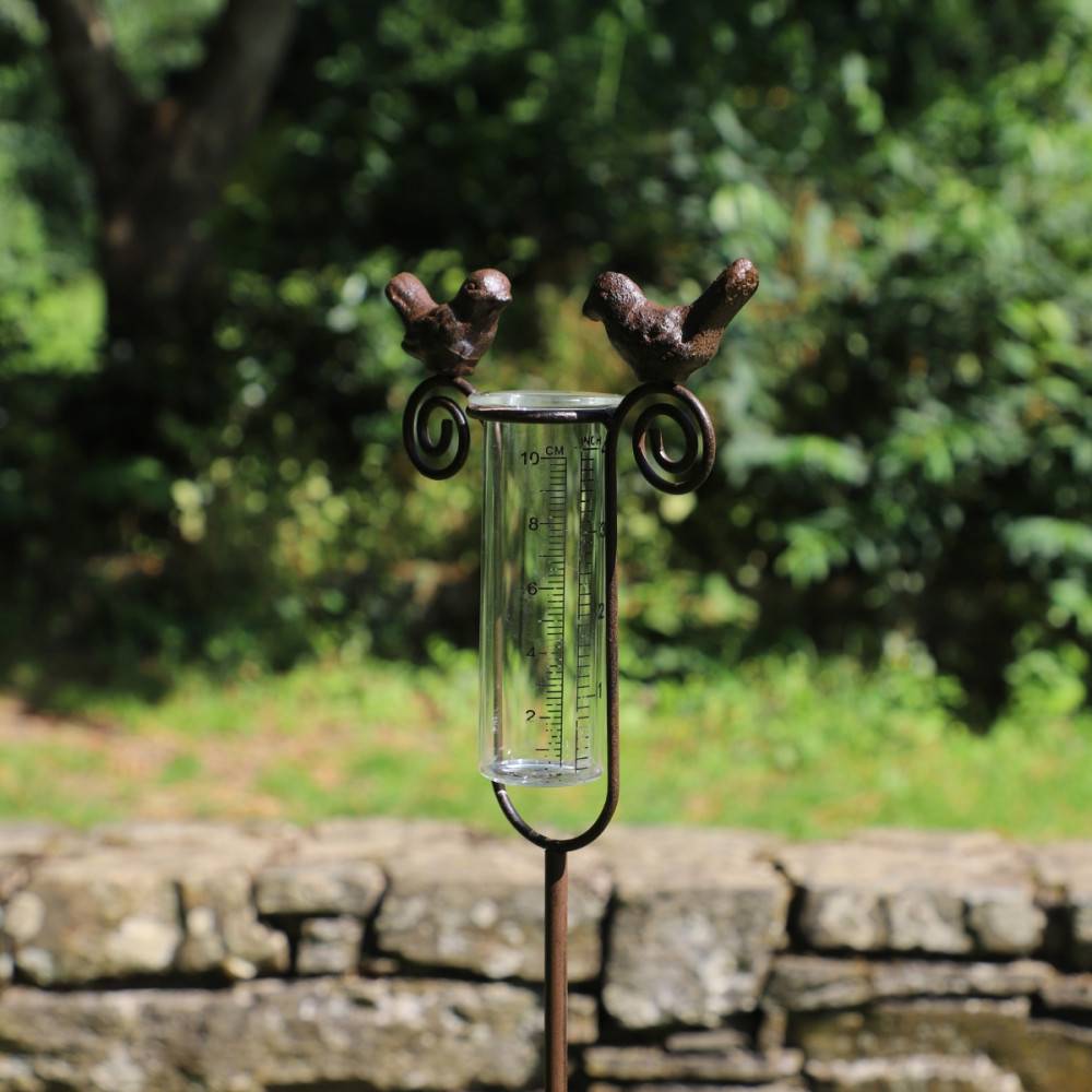 Tuteur plante grimpante pluviomètre à piquer fonte verre marron 100 cm Chemin de campagne - Image 4