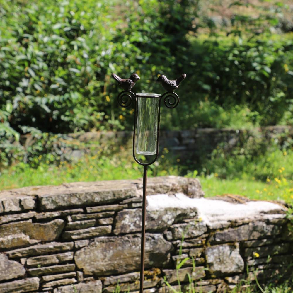Tuteur plante grimpante pluviomètre à piquer fonte verre marron 100 cm Chemin de campagne - Image 3