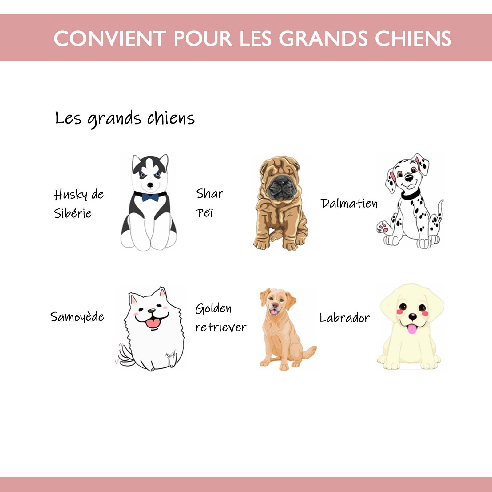 Pawhut - Cage caisse de transport pliante pour chien en métal noir 106 x 71 x 76 cm matelas fourni - Image 10