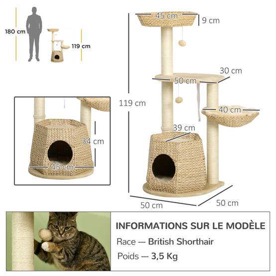 Arbre à chat sisal et peluche naturel 50 x 50 x 119 cm - PANGIVO - Image 5