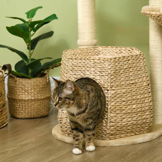 Arbre à chat sisal et peluche naturel 50 x 50 x 119 cm - PANGIVO - Image 9