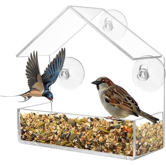 Mangeoire Oiseaux Extérieur Transparente - Image 1
