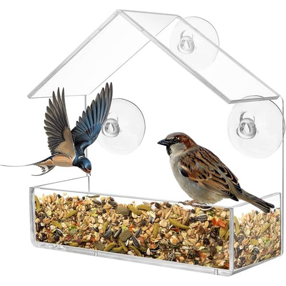 Mangeoire Oiseaux Extérieur Transparente - Image 1