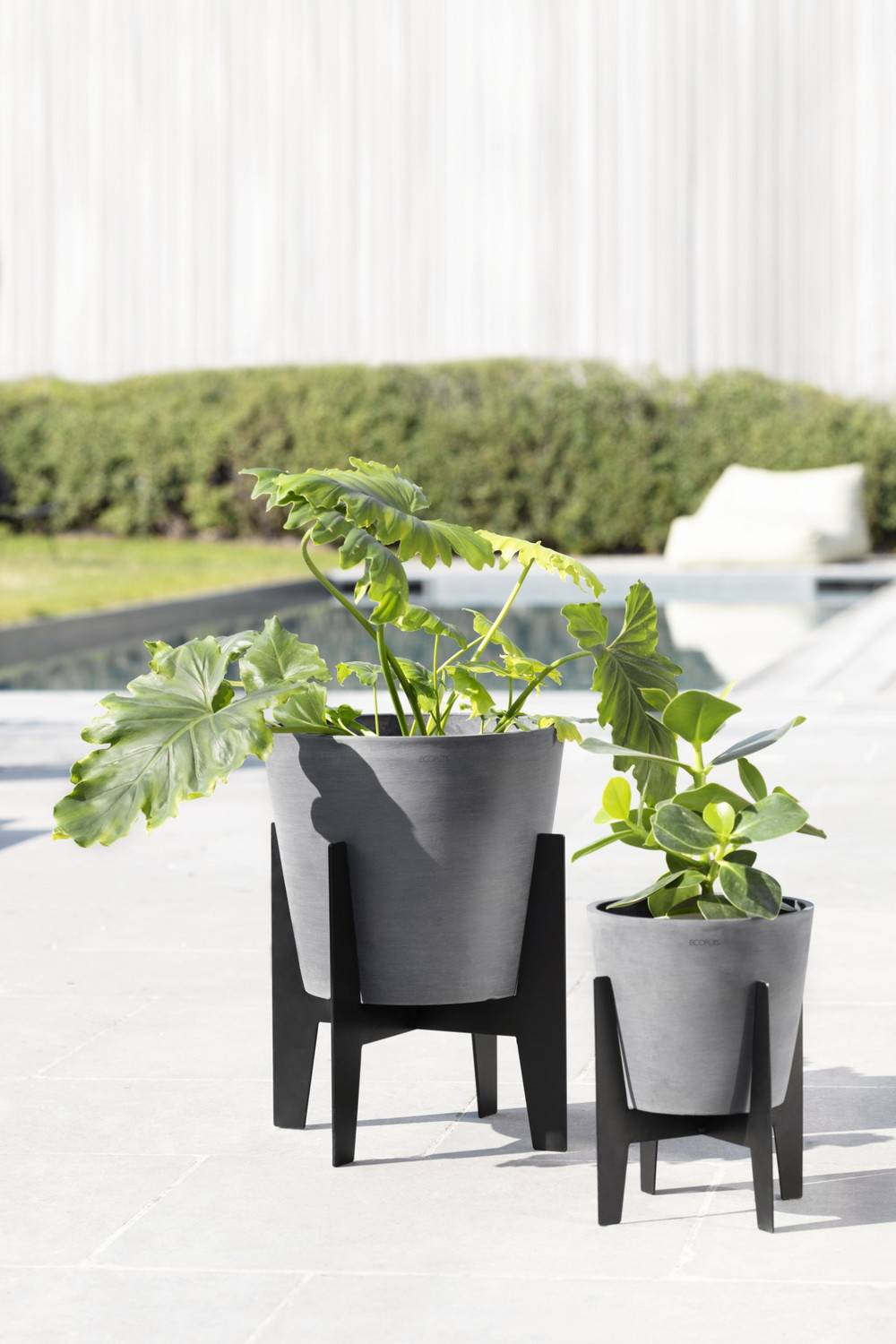 Ecopots - Pieds pour pot Stilts 30 Noir - 33 x 33 x H. 31 cm ECOPOTS - Image 4