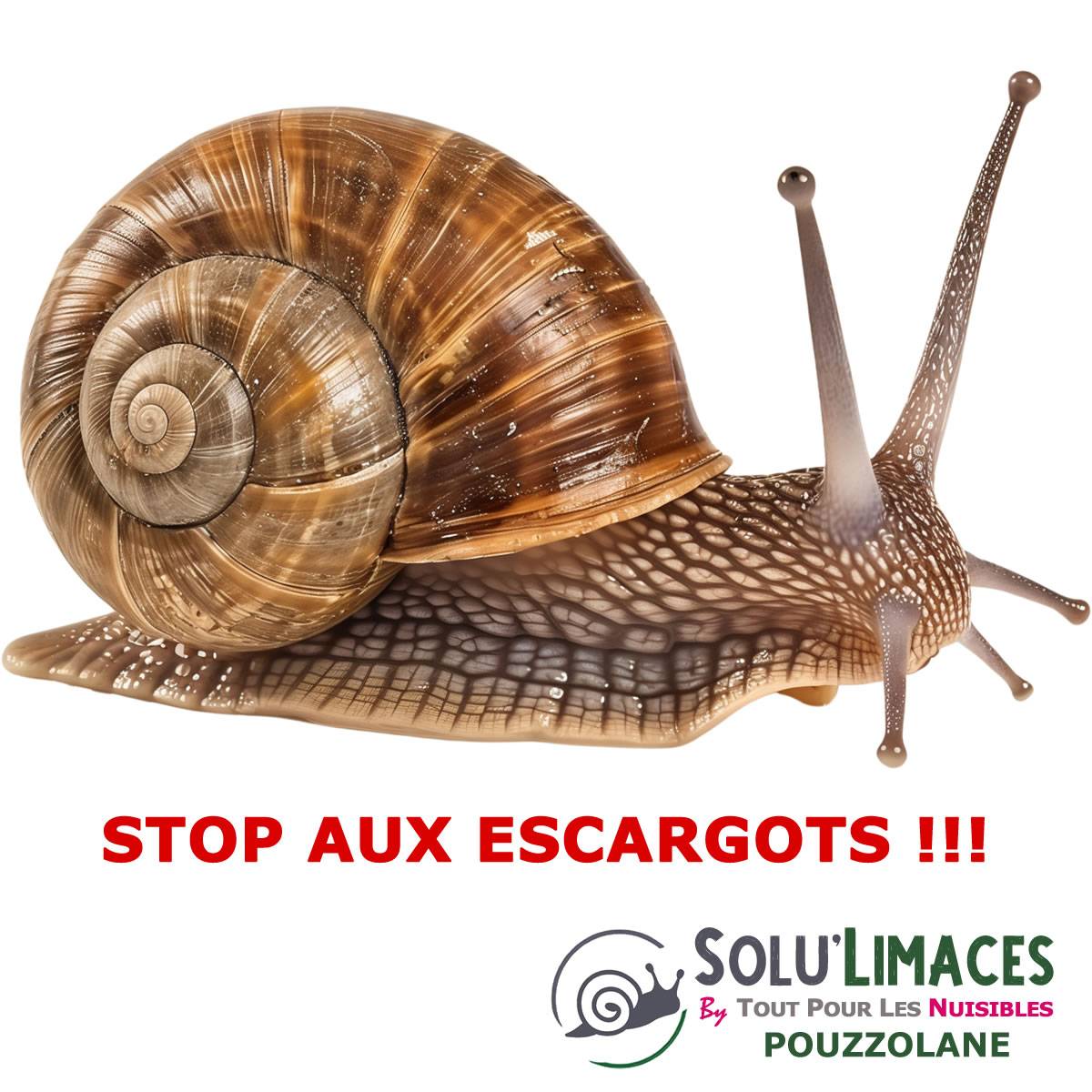 Tout pour les nuisibles - SOLU'LIMACES - POUZZOLANE 1 kg - Barrière Anti Limaces, Escargots et autres gasteropodes - Roche Volcanique 1 à 3 mm - Image 5