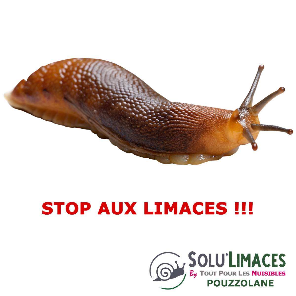 Tout pour les nuisibles - SOLU'LIMACES - POUZZOLANE 1 kg - Barrière Anti Limaces, Escargots et autres gasteropodes - Roche Volcanique 1 à 3 mm - Image 4