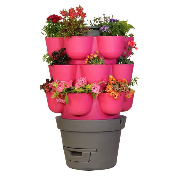 Ferme Du Moutta - WORMgarden Fuchsia 3 jardinières - Image 1