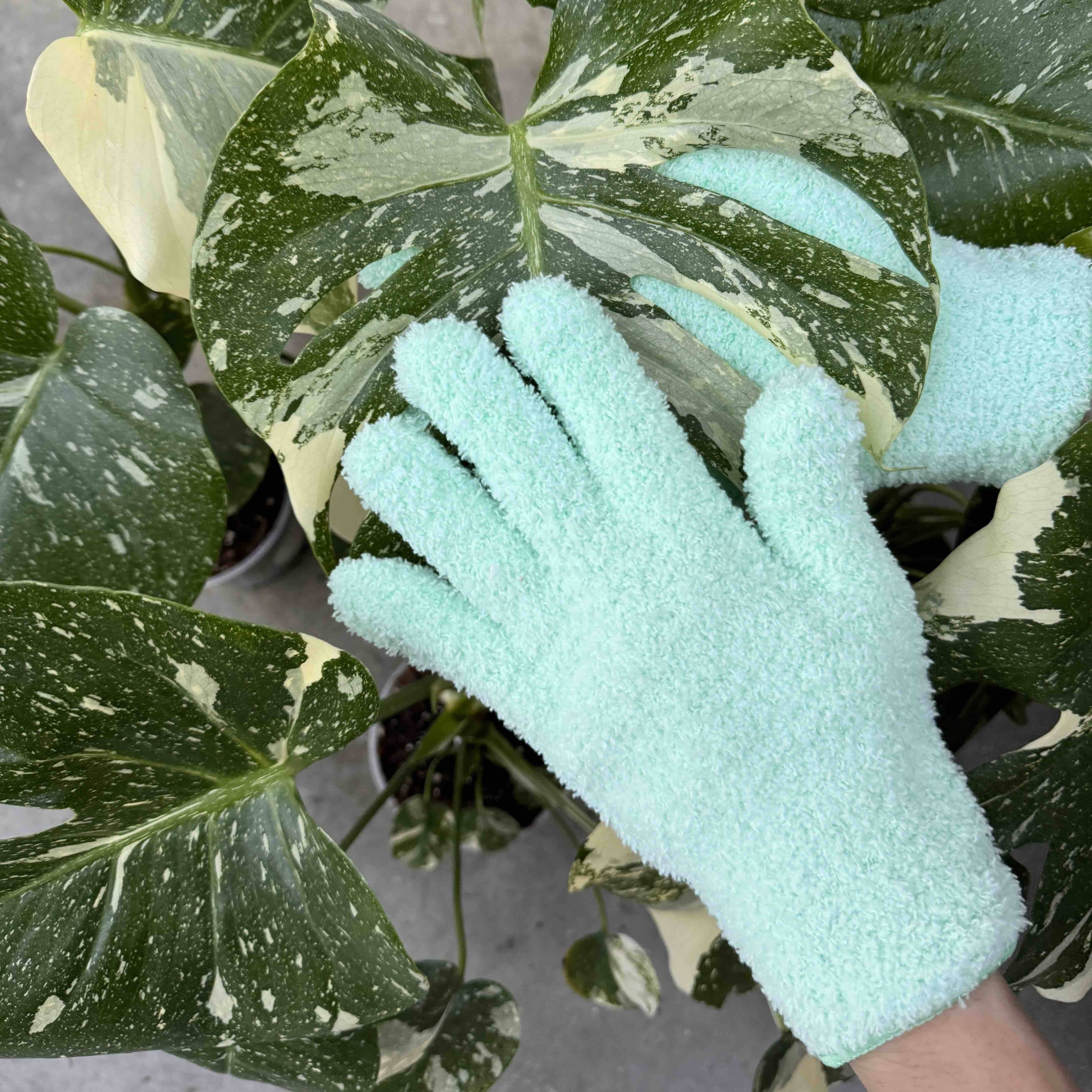 Pack Soin des Plantes Routine complète - Pulvérisateur 250ml + Savon noir concentré + Paire de Gants de Nettoyage - Vert pomme - Image 7