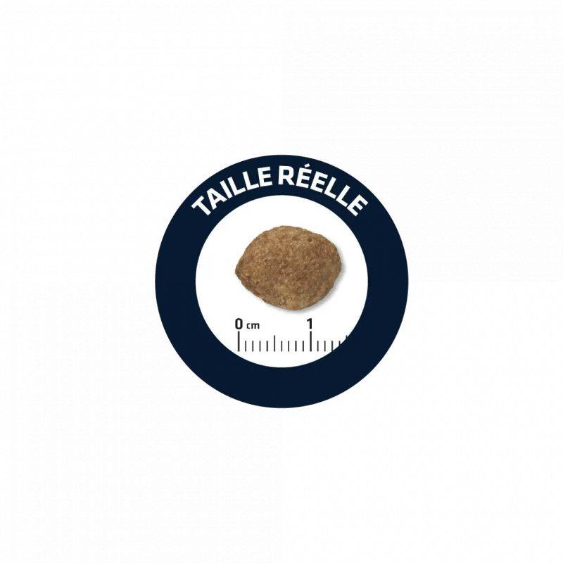 CROQUETTES CHIEN MAXI LIGHT - ADVANCE 12 kg - Image 2