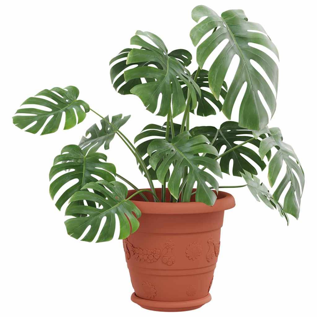 Prolenta Premium - Jardinière plastique rouge 17,5 x 17,5 x 2 cm - Prolenta premium p37.7 - Image 3