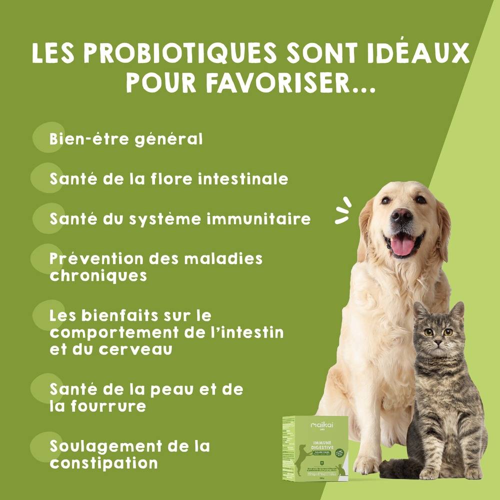 Probiotique Naturel pour Chien et Chat - Aide avec le Diarrhée et Renforce le Système Immunitaire - MAIKAI - Image 2