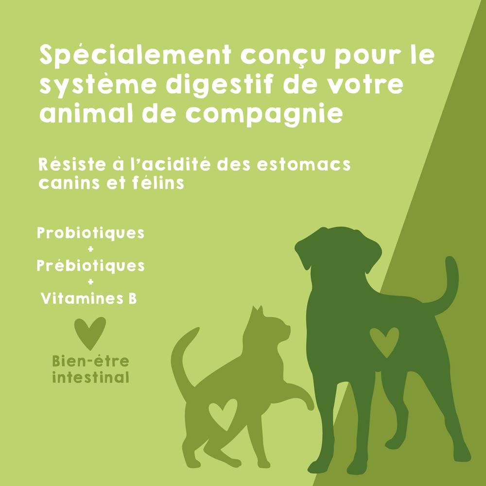 Probiotique Naturel pour Chien et Chat - Aide avec le Diarrhée et Renforce le Système Immunitaire - MAIKAI - Image 3