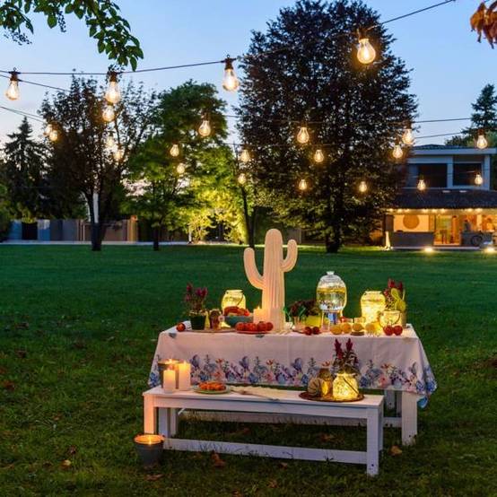 guirlande lumineuse guinguette 12M 30 ampoules transparente blanc chaud chic Lotti - Image 1